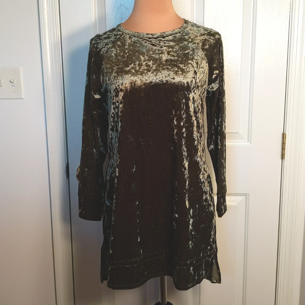 Egy Velvet Dress NWOT